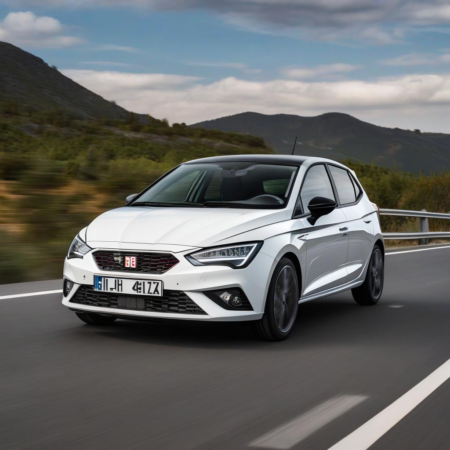 Ремонт рулевой рейки Seat Ibiza